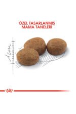 Royal_Canin_Sterilised37_Ksrlatrlm_Yetikin_Kedi_Ma (2)