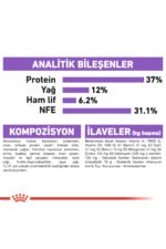 Royal_Canin_Sterilised37_Ksrlatrlm_Yetikin_Kedi_Ma (5)